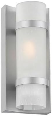 Acclaim 4700BS Apollo Collection 1-Light Wall Mount Outdoor Light Fixture, Brushed Silver