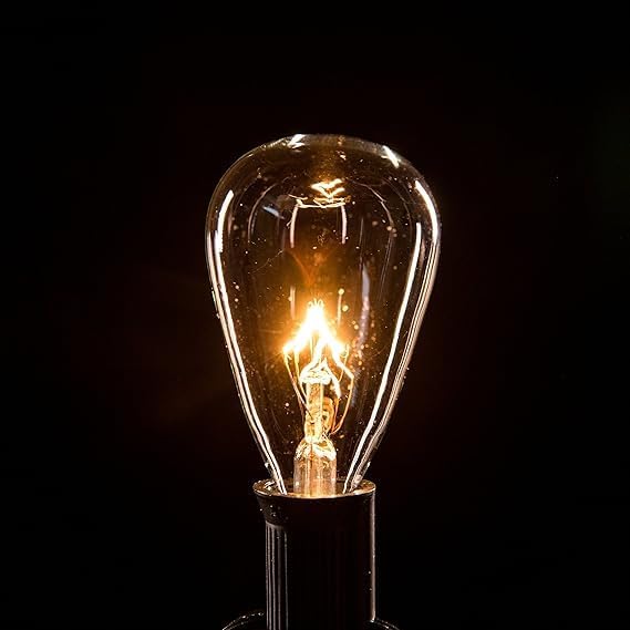 Hometown Evolution, Inc. Vintage Outdoor Patio String Lights with ST11 Clear Light Bulbs (Black Wire, 50 ft)