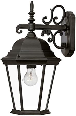 Acclaim 5202BK Richmond Collection 1-Light Wall Mount Outdoor Light Fixture, Matte Black