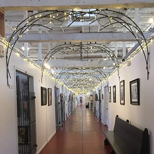 Novelty Lights 24-Pack, 34 Feet 100 Bulbs Traditional Incandescent Mini Lights, Clear on Black Wire with 4" Spacing, Commercial Grade and UL Listed for Indoor/Outdoor Use, End-to-End Connectable