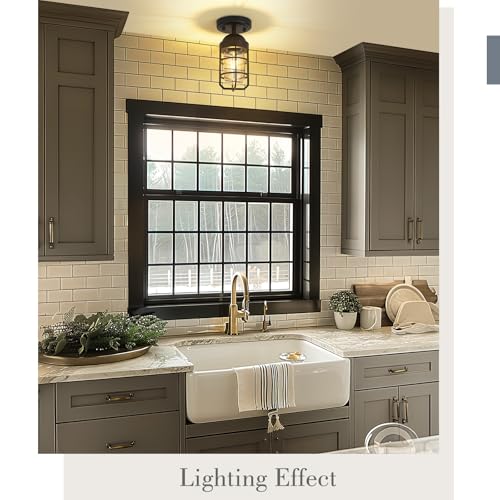 Emliviar Industrial Ceiling Light, Semi Flush Mount Lighting for Indoor, Clear Tempered Glass Shade in Black Finish, GE255F BK
