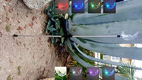 Set of 1 Solar Garden Stake Lights with Color Changing LED or Regular White LED Landscape Path Lights (1 Piece) (Moon)