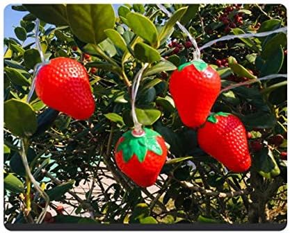 Fruit String Lights Battery Powered Indoor Outdoor Lighting Lamp Strawberry/ Grape/ Watermelon/ Lemon/ Banana for Wedding Home Birthday Garden Children's room Yard Patio Party Decorations (Strawberry)