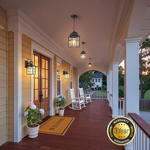 VIANIS Dusk to Dawn Outdoor Pendant Light for House with Adjustable Chain