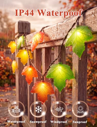 Fall Decor String Lights, 12FT 20 LED Thanksgiving Leaf Lights Plug in