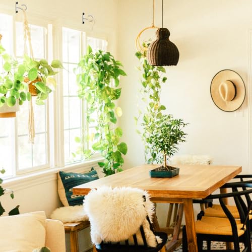 2Pack 2.5In Ceiling Hooks for Hanging Plant, Wall Hanger Plant Holder White