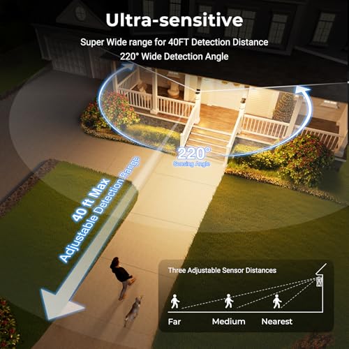 VIANIS Motion Sensor Outdoor Light Fixture, 2 Pack Outdoor Wall Lights