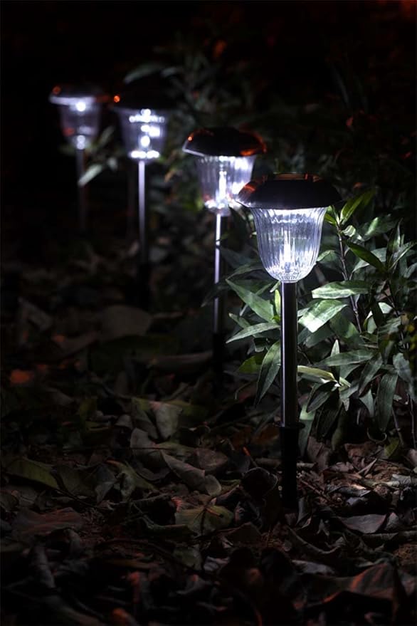 Basic Solar Path Light (Set of 6)