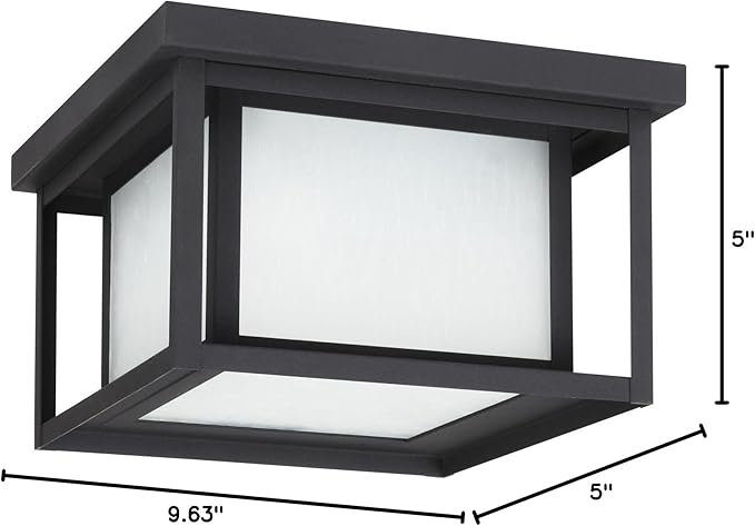 Sea Gull Lighting 79039EN3-12 Hunnington Two Light Outdoor Ceiling Flush Mount Hanging Modern Light Fixture, Black | Lumora