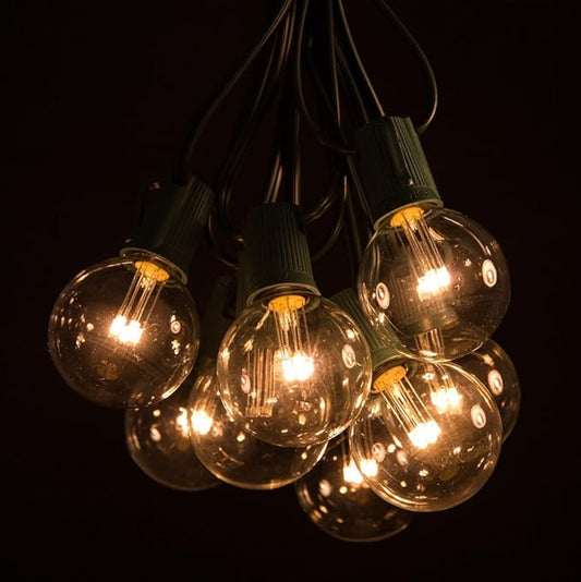Hometown Evolution, Inc. G50 2" LED Diode Warm White Outdoor Patio String Lights with 0.6 Watt Light Bulbs (Green Wire, 25 ft)