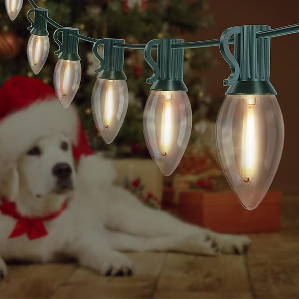C9 LED Christmas Lights Outdoor 25FT, 25 Energy Efficient Warm White Vintage Bulbs, Connectable, Weatherproof for | Lumora