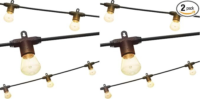 Enbrighten LED Bistro String Lights, 48ft w/ 24 Shatter-Resistant Lifetime Bulbs - 2200K Warm White, Weather-Resistant Commercial Grade, Indoor/Outdoor Use for Backyard & Patio (Pack of 2)