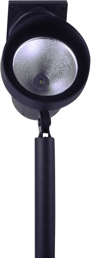 Crosslight Outdoor Solar Warm White LED Weatherproof Spot Light for Gardens, Walkways, Patios and Yards - 15 Lumens | Lumora
