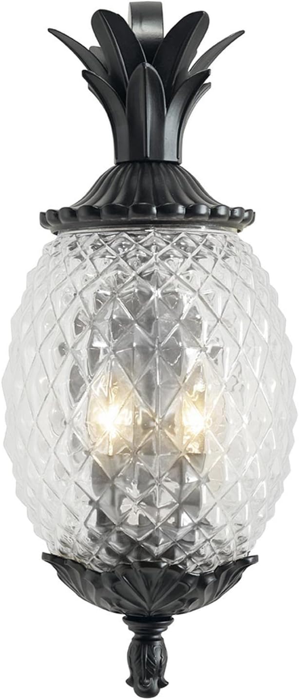 Acclaim 7502BK Lanai Collection 2-Light Wall Mount Outdoor Light Fixture, Matte Black