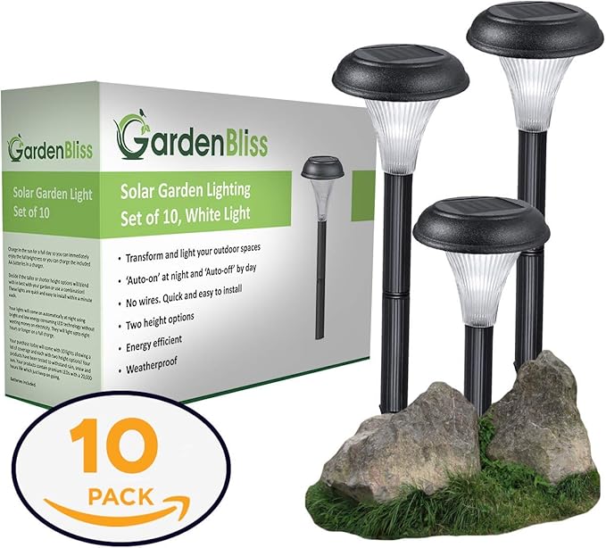 GardenBliss Best Solar Lights for Outdoor Pathway, 10 Brightest Light Set for Walkway, Patio, Path, Lawn, Garden | Lumora