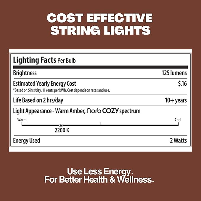 NorbSTRING 50FT LED String Lights – Plug-in Outdoor Weatherproof Lights, Cozy Candle-Like Warm White Glow, Shatterproof Commercial-Grade Bulbs for Patio, Backyard, Deck & Events, Energy-Efficient