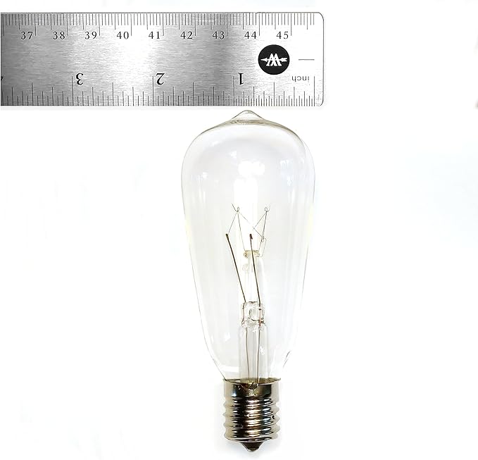 Hometown Evolution, Inc. Vintage Edison Outdoor String Lights (ST40 Clear - Black Wire, 25 ft) | Lumora