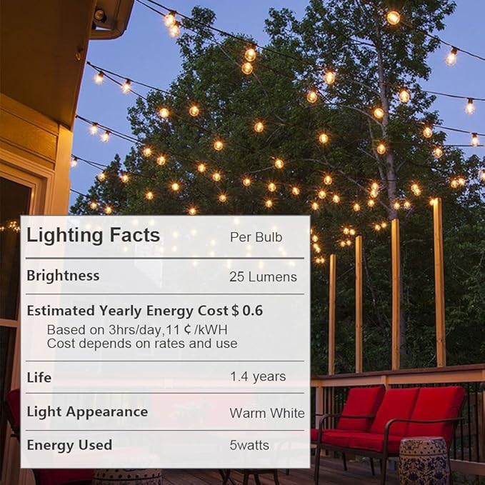 Globe String Lights with 27 Clear G40 Bulbs, Connectable Outdoor /Indoor Lights for Wedding Christmas Camping RV Garden Patio Gazebo Porch Pergola Bistro Backyard Balcony Deck, 25ft Black Wire