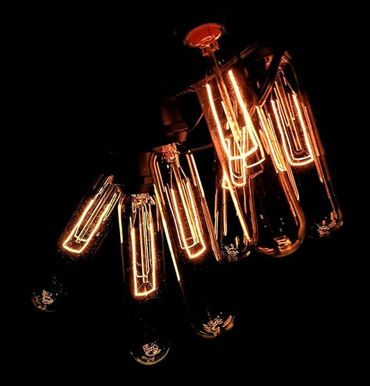 Hometown Evolution, Inc. Commercial Edison Bulb Outdoor String Lights with Hand-Threaded Filament (T25 Tube Edison - Commercial Black Wire, 50 ft)