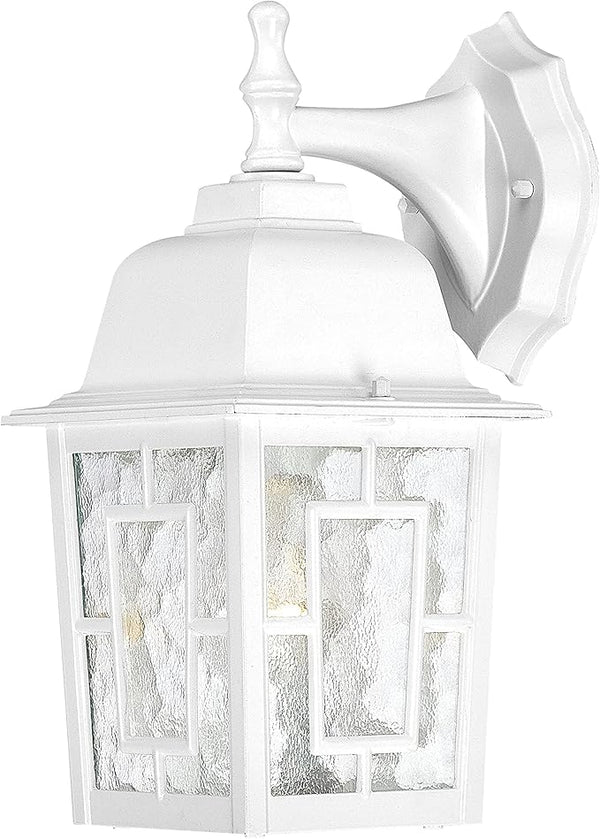 Nuvo Lighting 60/4921 Banyon One Light Wall Lantern/Arm Down 100 Watt A19 Max. Clear Water Glass White Outdoor | Lumora