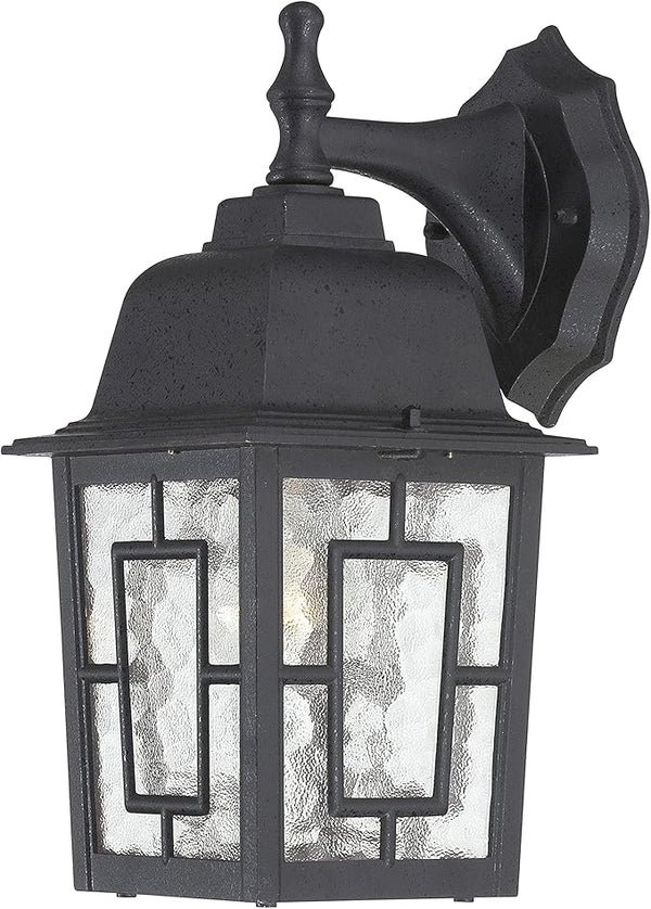 Nuvo Lighting 60/4923 Banyon One Light Wall Lantern/Arm Down 100 Watt A19 Max. Clear Water Glass Textured Black | Lumora