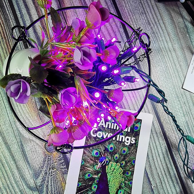Purple Christmas String Light 50 LED Halloween Light, 120V UL, Plug in 5mm Xmas Light Set 17ft Green Wire Connectable for Outdoor and Indoor Patio Xmas Tree Wedding Party Decor