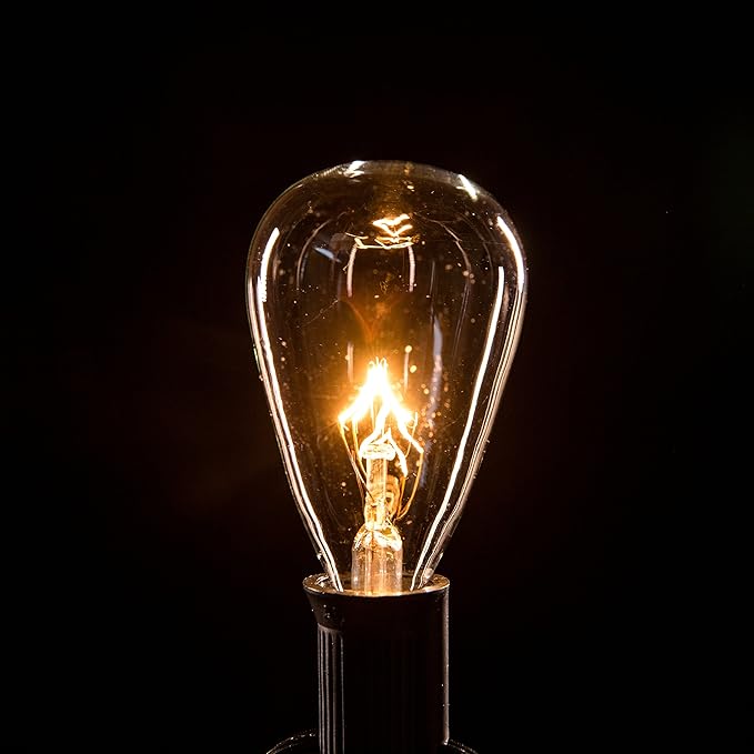 Hometown Evolution, Inc. Vintage Outdoor Patio String Lights with ST11 Clear Light Bulbs (Black Wire, 25 ft)