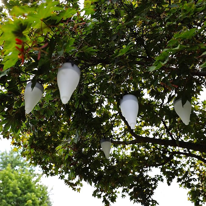 Bliss Hammocks Outdoors BSL-317 14'' Tall 6-Pack Solar Powered LED Pathway Lights, Outdoors,Garden Lights for | Lumora