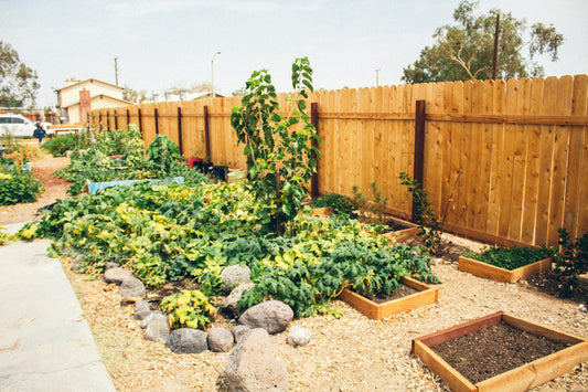 Essential Guide to Building an Eco-Friendly Backyard Compost Area for Sustainable Living