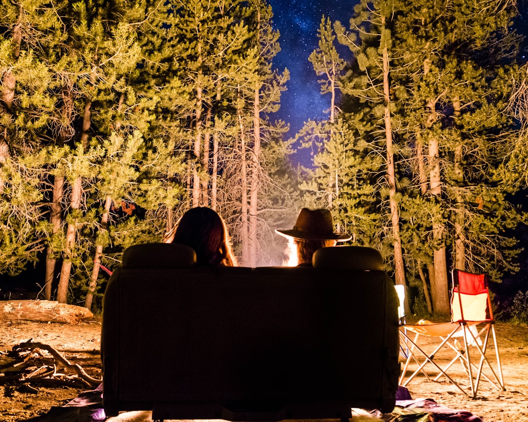 Create the Perfect Outdoor Movie Night Setup for Memorable Family Fun under the Stars