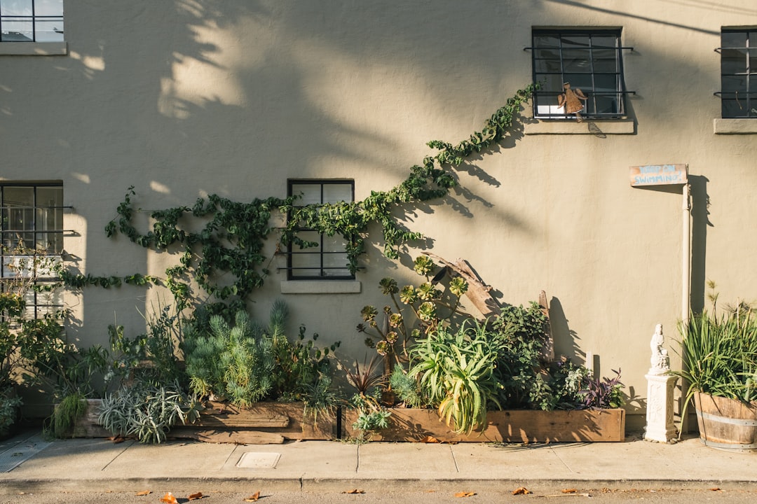 How to Build a Vertical Garden: Maximizing Space in Your Small Backyard