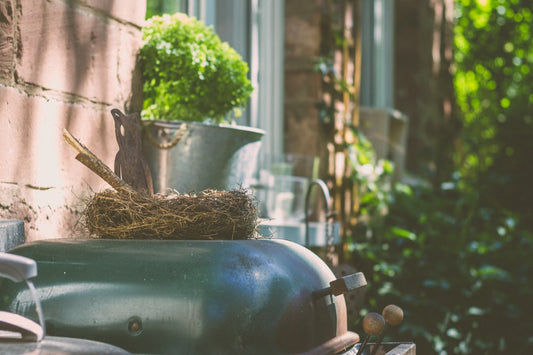 Build an Eco-Friendly Compost Bin for Your Backyard Garden: A Step-by-Step Guide