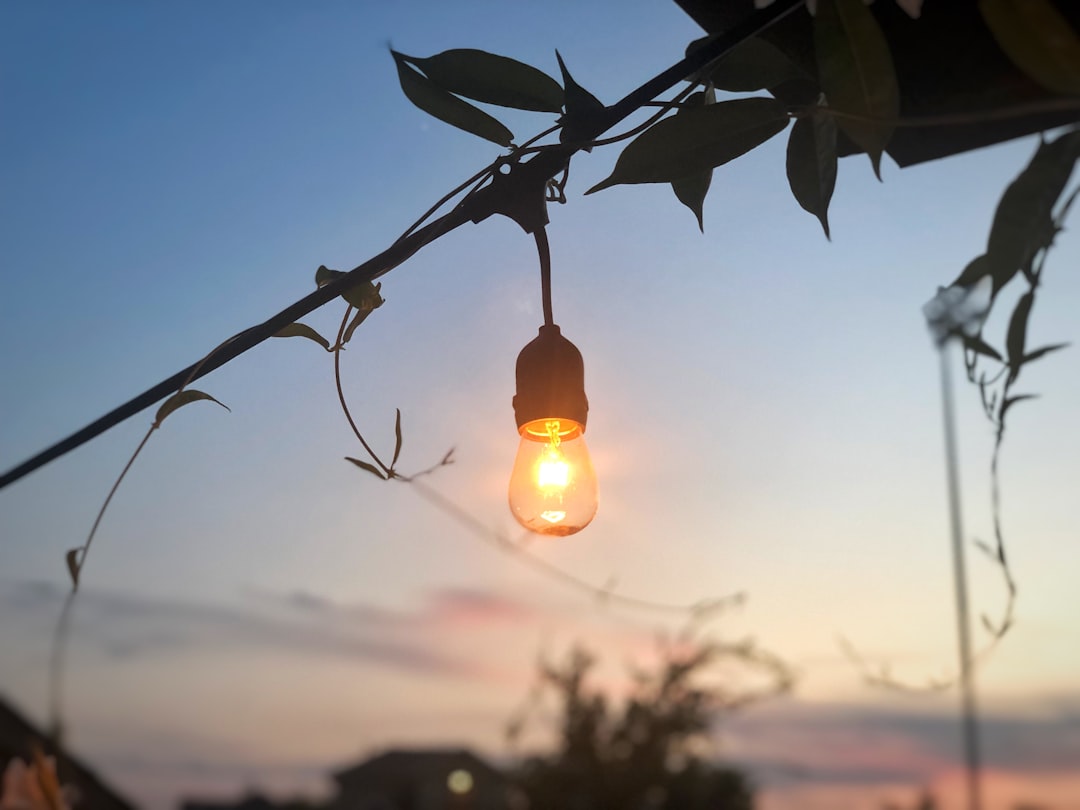 DIY Outdoor Lighting Ideas That Will Elevate Your Backyard Entertaining
