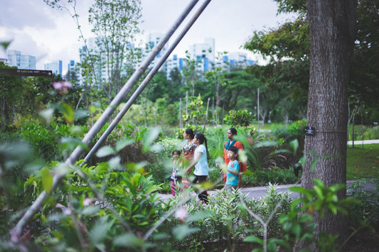 Essential Tips for Designing a Kid-Friendly Backyard Oasis That Sparks Joy and Creativity