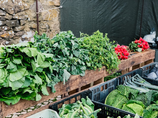 Step-by-Step Guide to Building a Raised Garden Bed for Healthy Vegetables