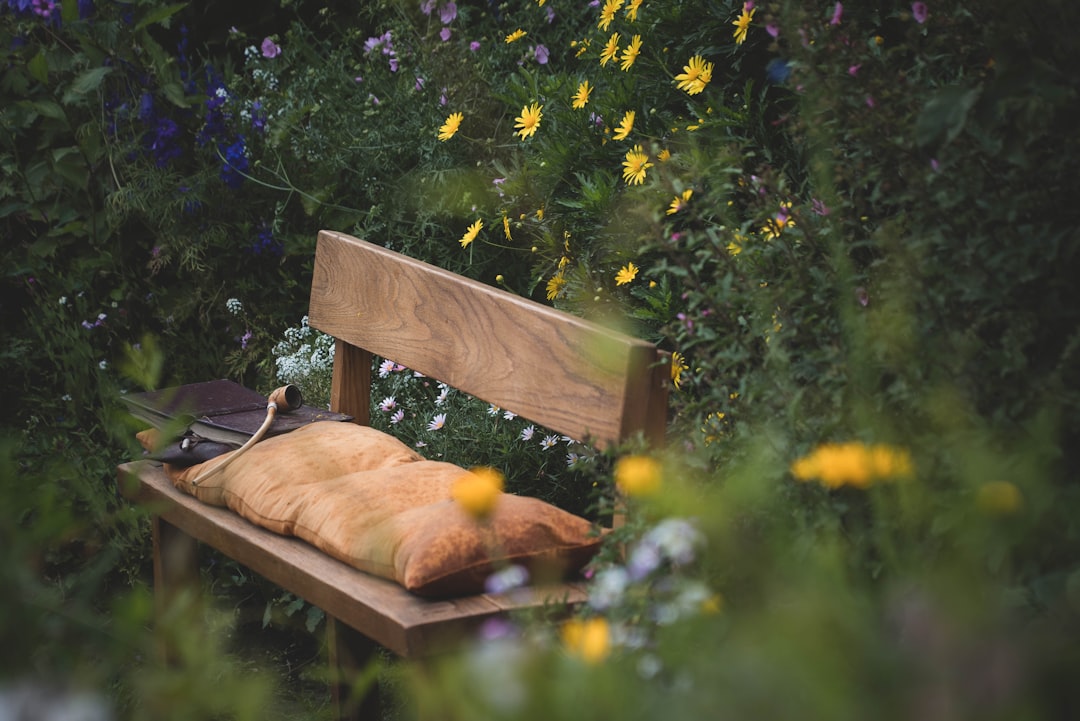Step-by-Step Guide to Building Your Own Raised Garden Beds for Beginners