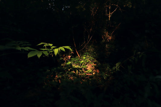 Outdoor LED Landscape Spotlight Fixes for Dark Front Yard Corners