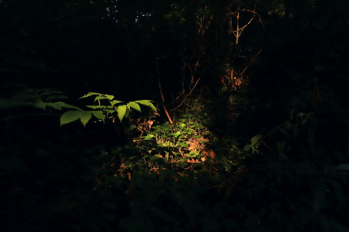 Outdoor LED Landscape Spotlight Fixes for Dark Front Yard Corners