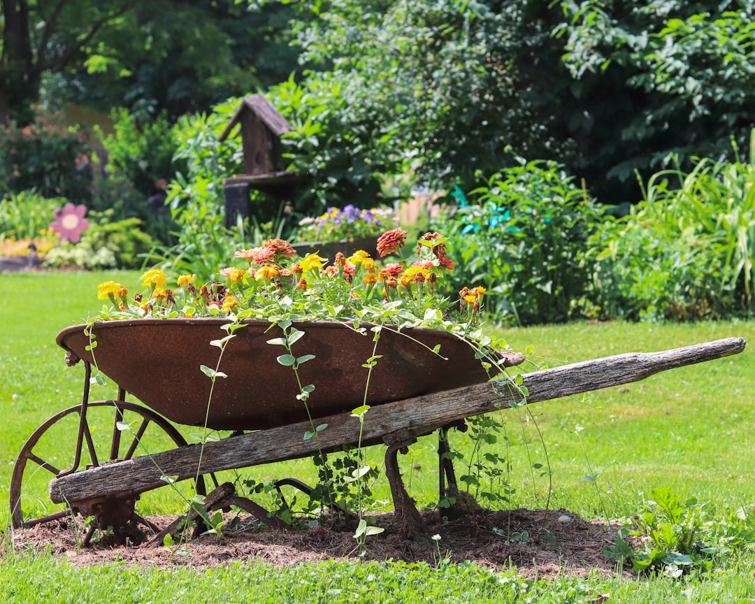 Step-by-Step Guide to Building an Affordable Raised Garden Bed for Beginners