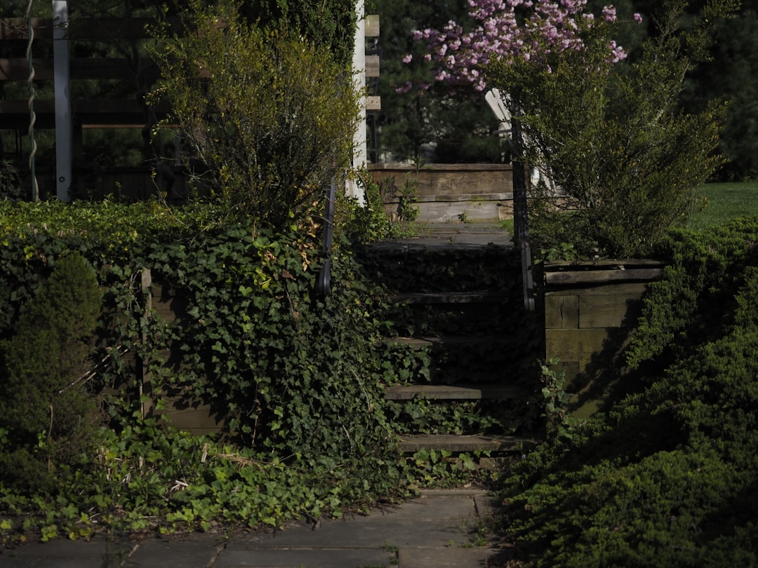 Recessed Deck Stairs: How to Fix Dark, Unsafe Steps After Sunset
