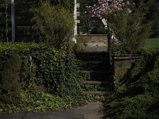 Recessed Deck Stairs: How to Fix Dark, Unsafe Steps After Sunset