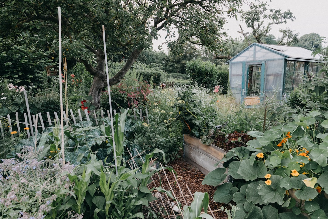Ultimate Guide to Building a Sustainable Vegetable Garden in Your Backyard