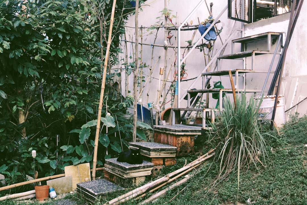 Create Your Own Backyard Oasis: How to Build a Sustainable Vegetable Garden