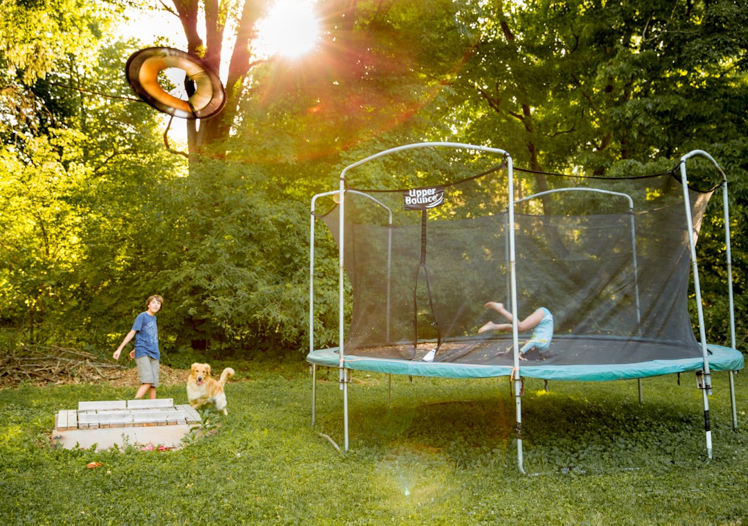 10 Essential Tips for Designing a Multi-Functional Backyard for Family Fun