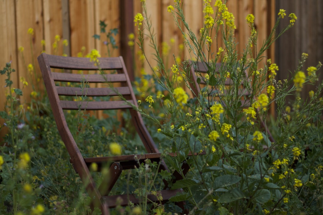 Step-by-Step Guide to Building a Sustainable Raised Garden Bed in Your Backyard