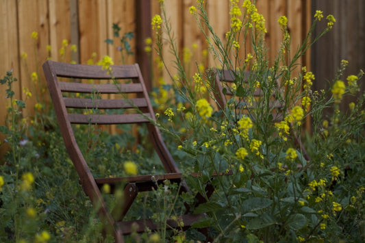 Step-by-Step Guide to Building a Sustainable Raised Garden Bed in Your Backyard