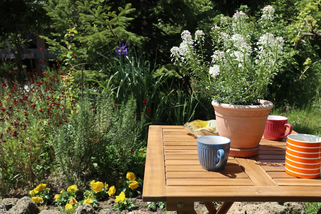 Step-by-Step Guide to Building a Modern Raised Garden Bed for Your Backyard