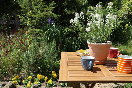 Step-by-Step Guide to Building a Modern Raised Garden Bed for Your Backyard
