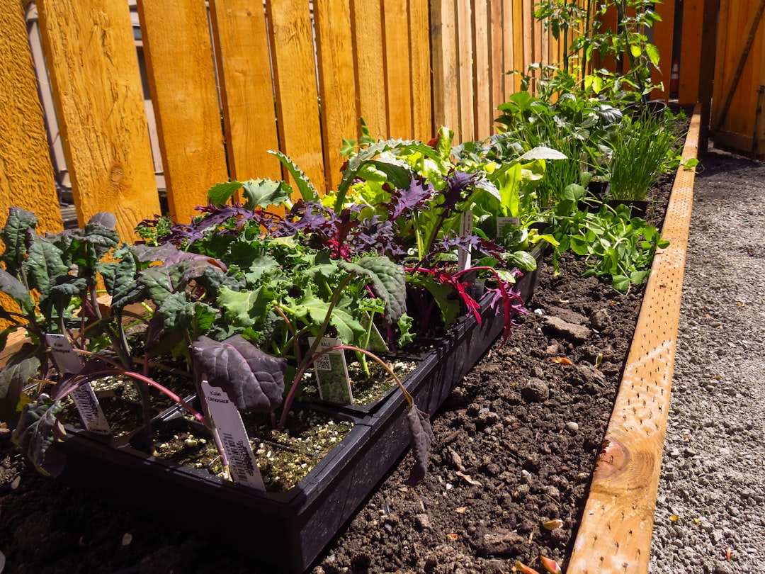 Transform Your Small Backyard with a DIY Vertical Garden: Easy Steps to Grow Vertically