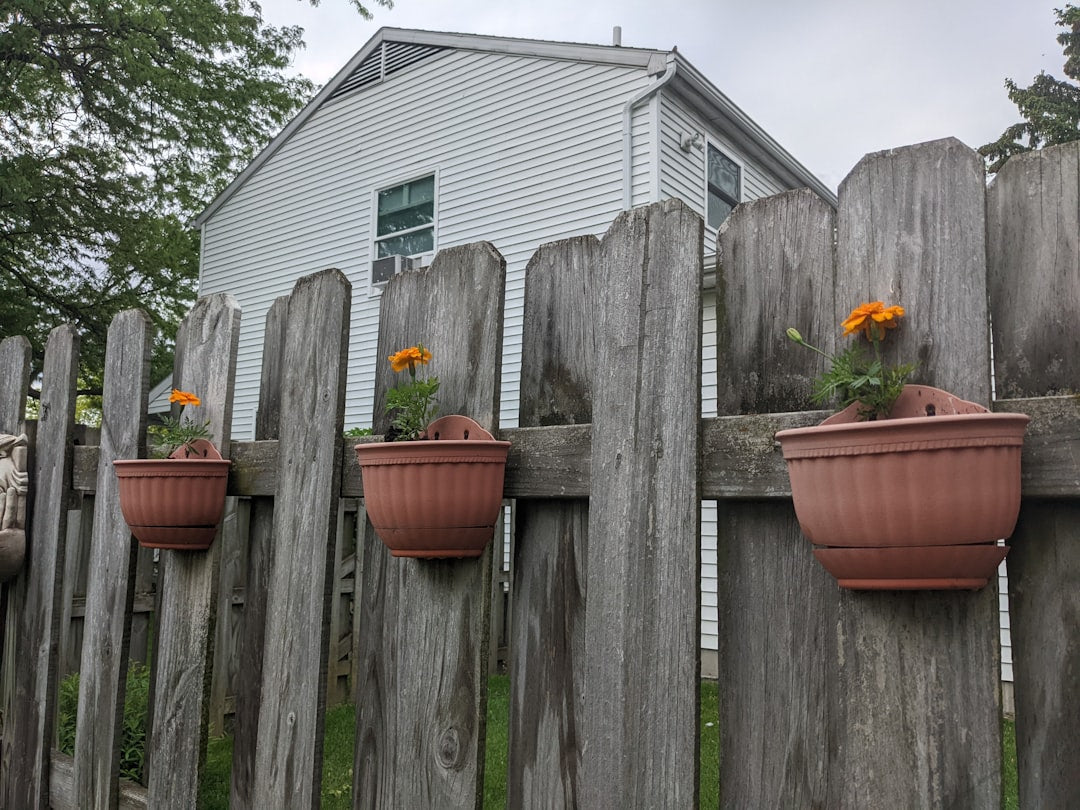 Step-by-Step Guide to Building a Raised Vegetable Garden for Beginners: Your Path to a Thriving Backyard Garden